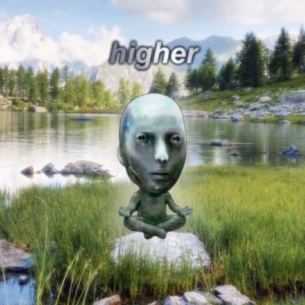 Meme 10