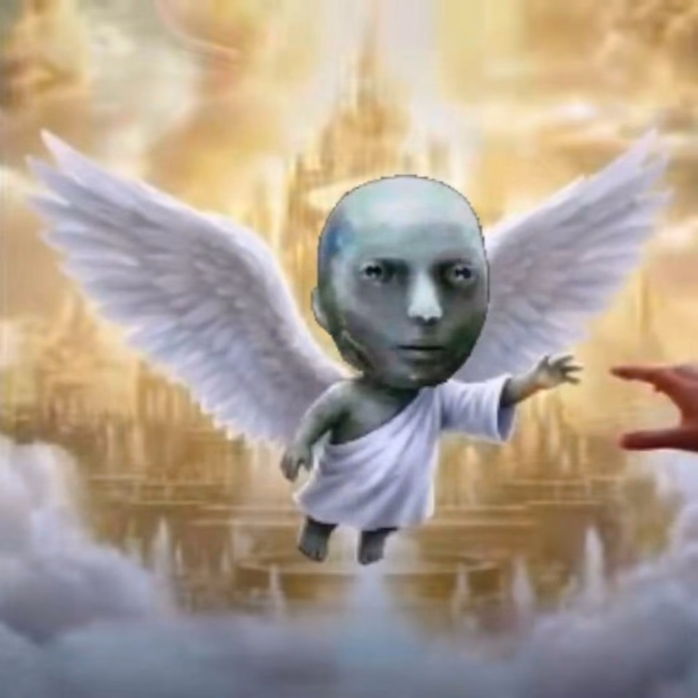 Meme 13